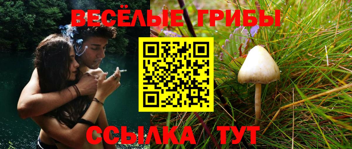 Псилоцибиновые грибы мухоморы Киселёвск