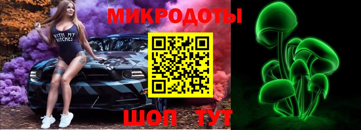 Киселёвск  Галлюциногенные грибы Cubensis  Вход с VPN 