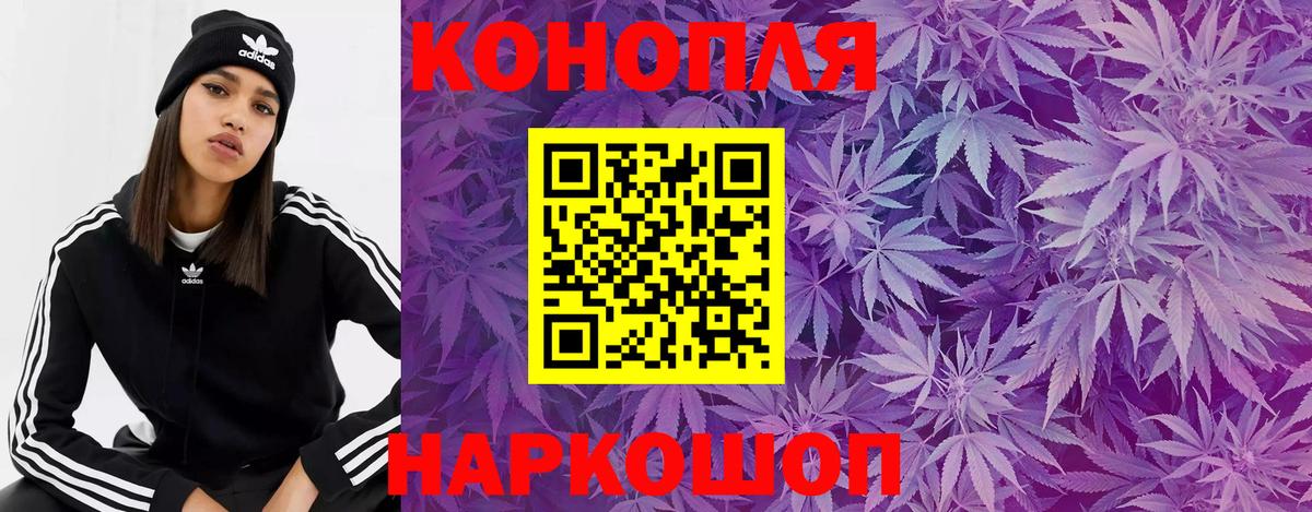 Бошки марихуана план  Марихуана Bruce Banner  Киселёвск  Вход с VPN  Бошки марихуана индика 